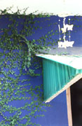 /photo.cms?msid=34262873